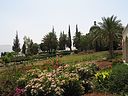 The Galilee includes more than one-third of present-day Israel, extending from Dan on the north, at the base of Mount Hermon, to the ridges of Carmel and Gilboa on the south, and from the Jordan Valley... IMG_0308.jpg